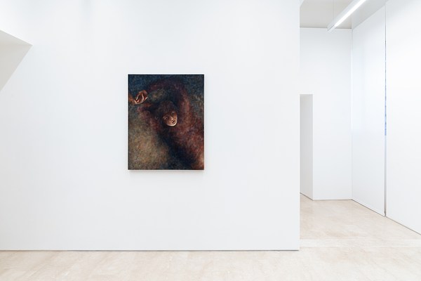 Image 2 of 20