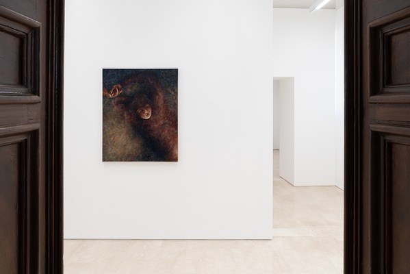 Image 11 of 20
