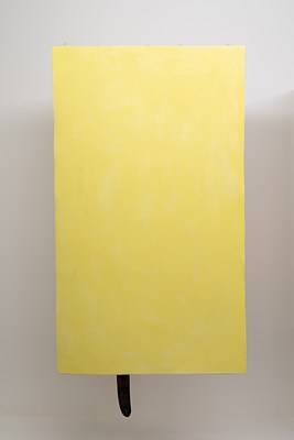 Image 3 of 16