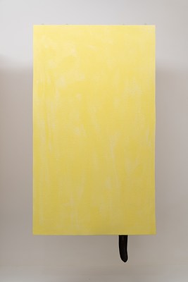 Image 4 of 16