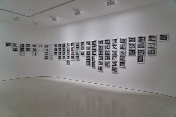 Image 6 of 15