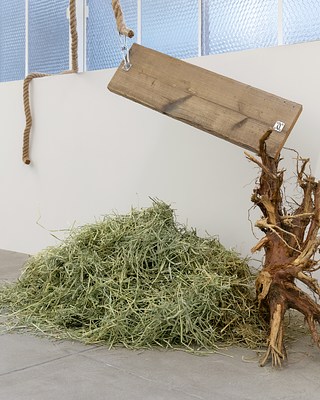 Image 16 of 28