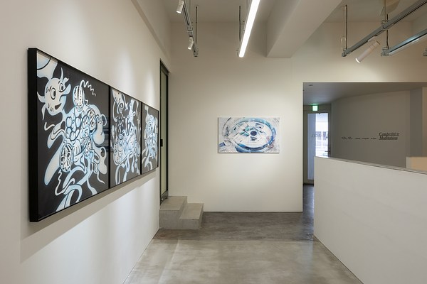 Image 12 of 27