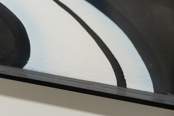 Image 25 of 27