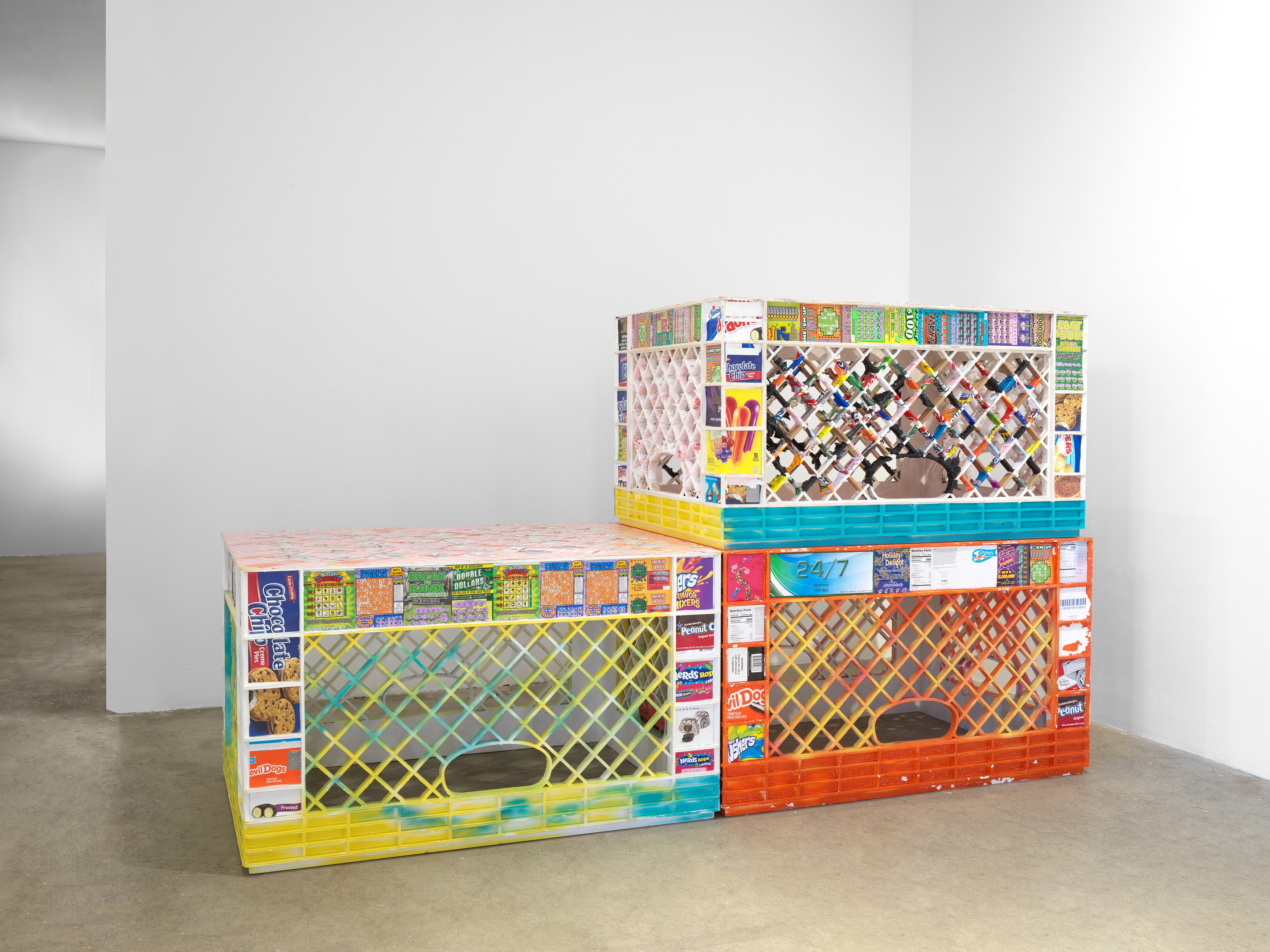 Tschabalala Self, Bodega Run at Swiss Institute, photo 8
