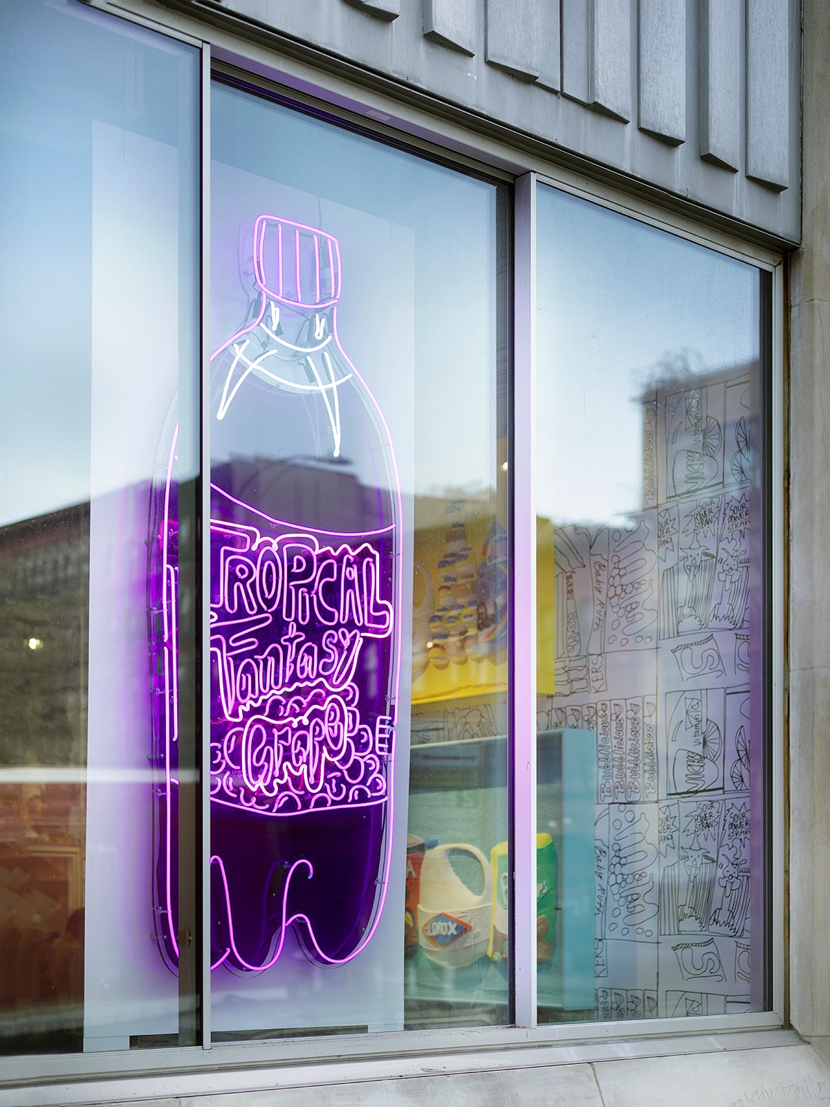 Tschabalala Self, Bodega Run at Swiss Institute, photo 3