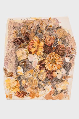 Image 64 of 64