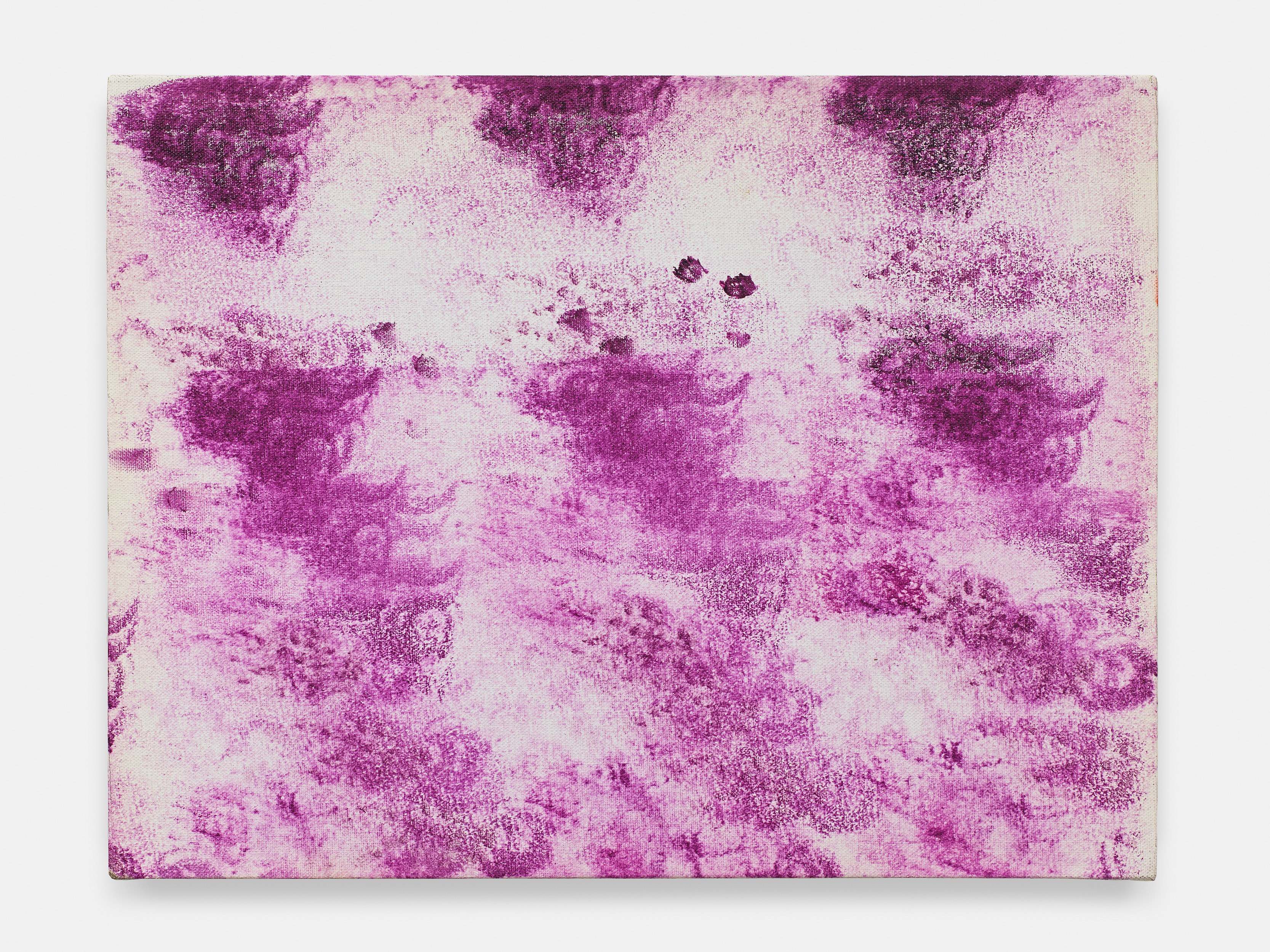Cecily Brown, Jutta Koether, Good Luck Spot at Bortolami, photo 23