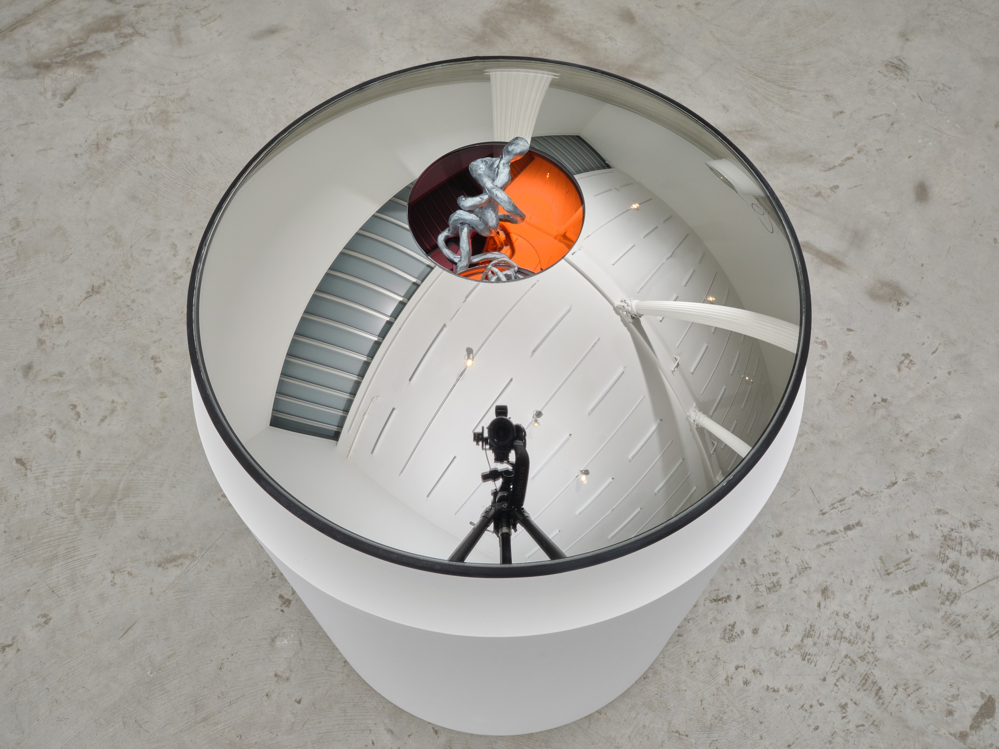 Madeline Hollander, Entanglement at Bortolami, photo 15