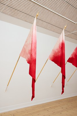 Image 4 of 10