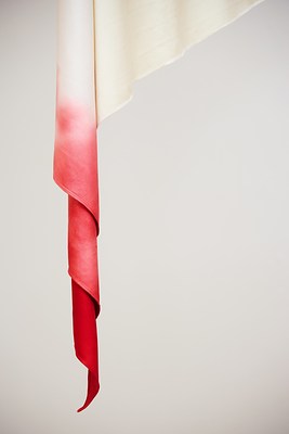 Image 7 of 10