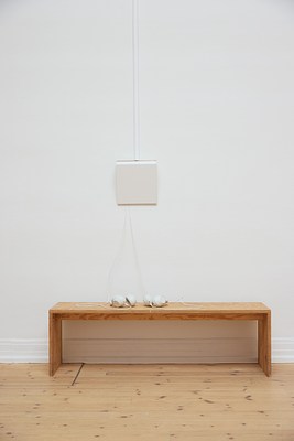 Image 8 of 10