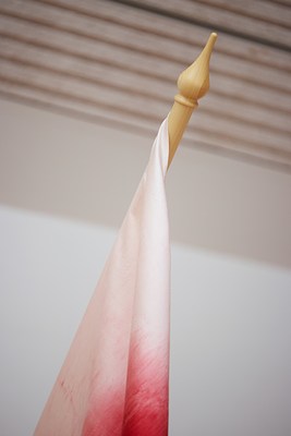 Image 10 of 10