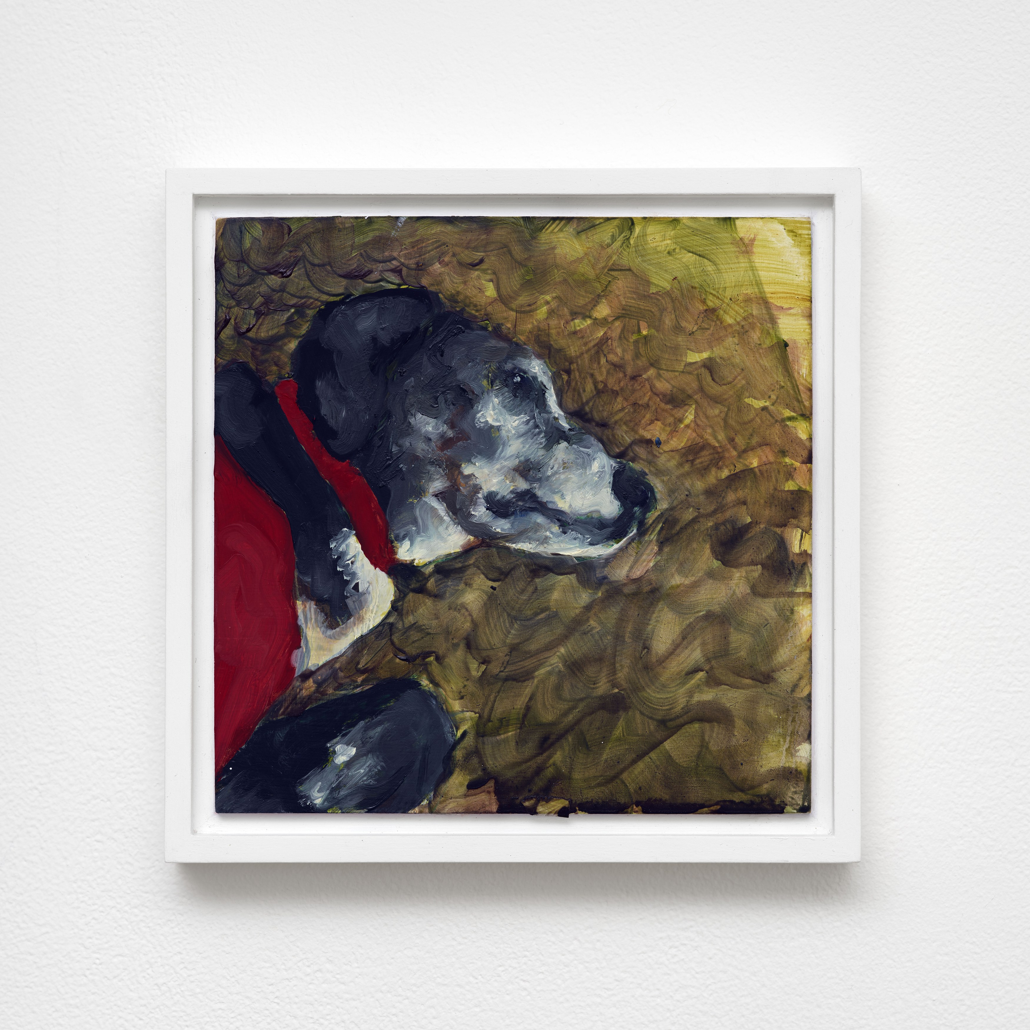 Caroline Weinstock, The Dead Pet at Bel Ami, photo 35