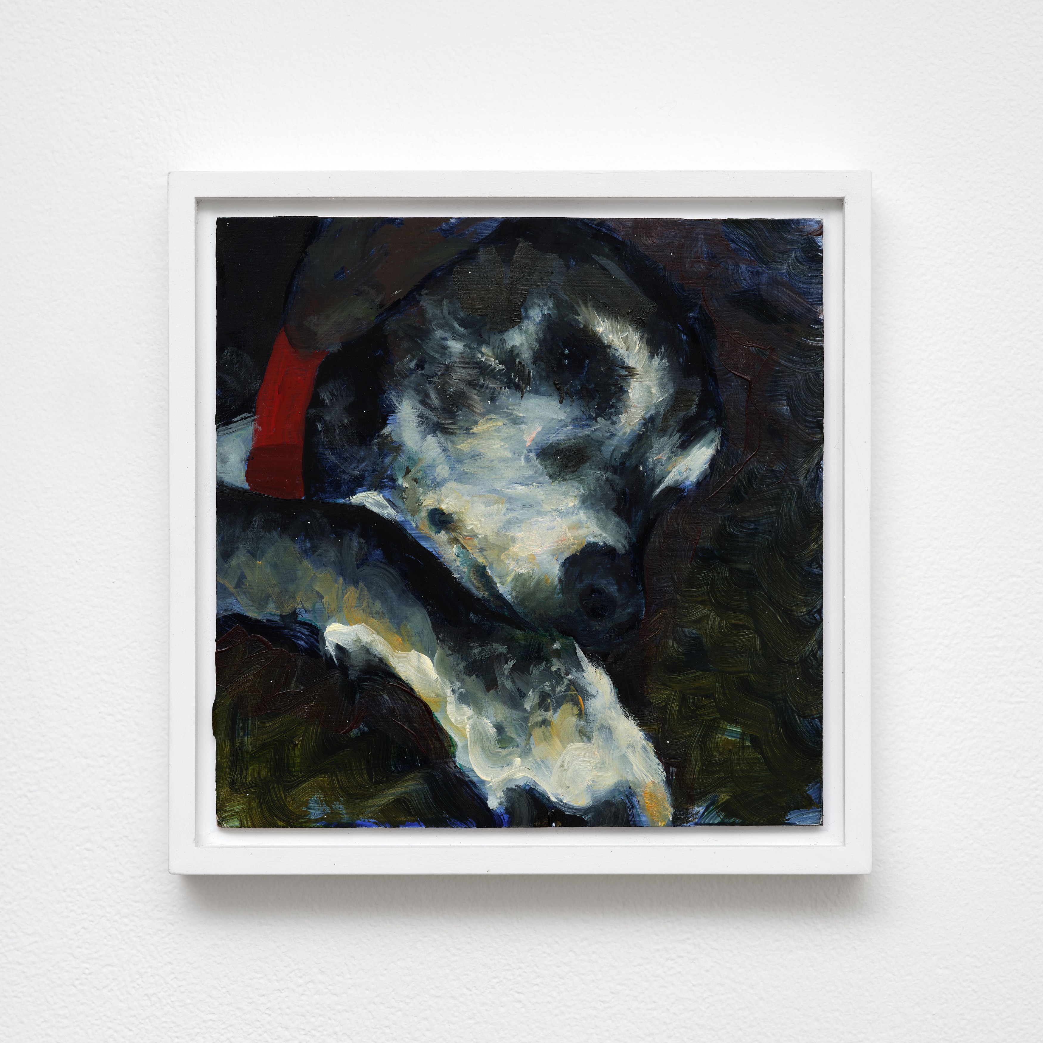 Caroline Weinstock, The Dead Pet at Bel Ami, photo 33