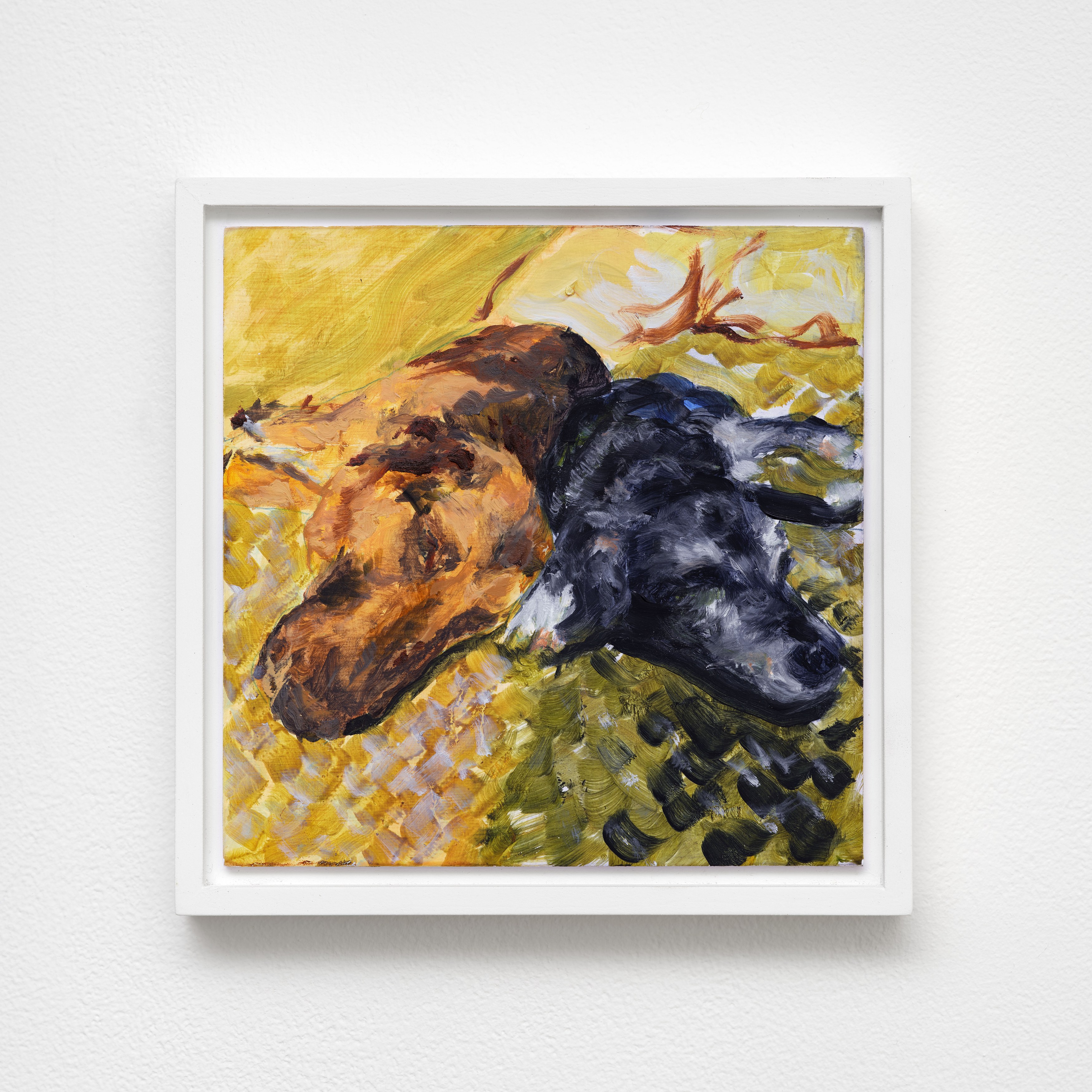 Caroline Weinstock, The Dead Pet at Bel Ami, photo 36