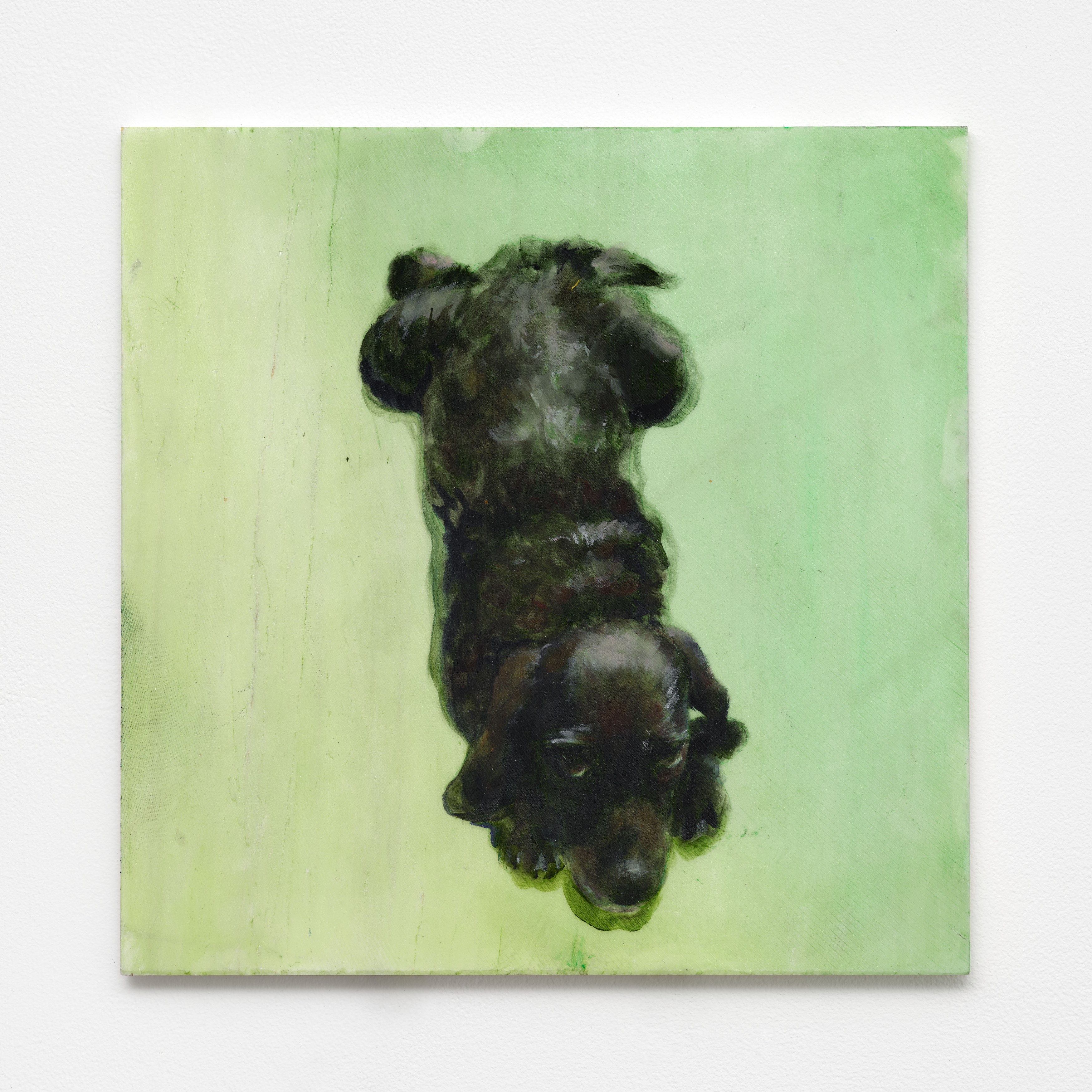 Caroline Weinstock, The Dead Pet at Bel Ami, photo 59