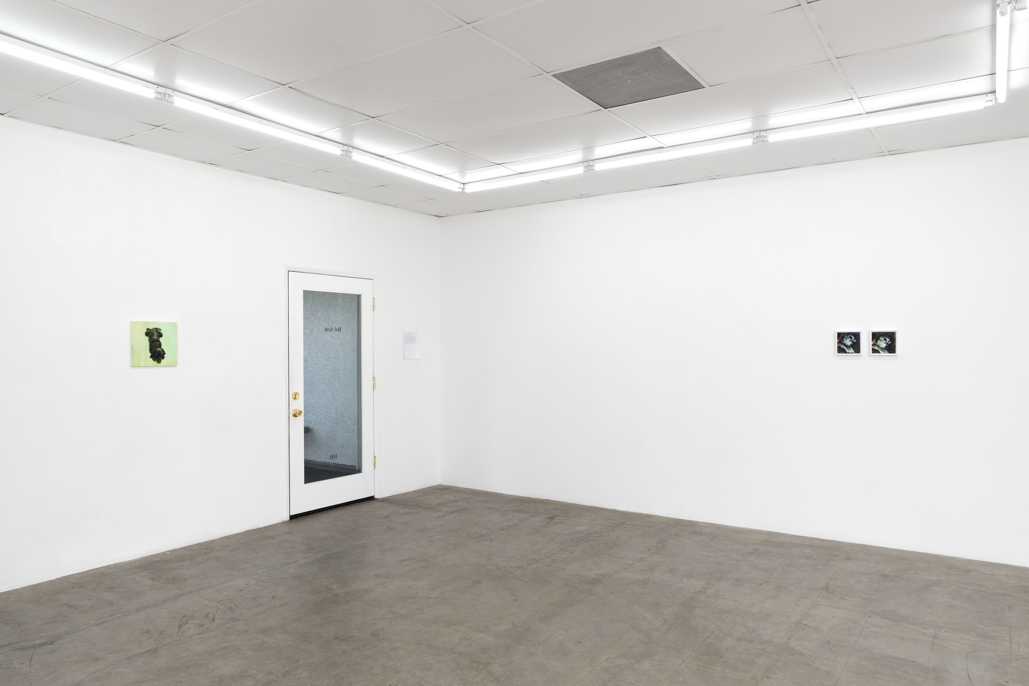 Caroline Weinstock, The Dead Pet at Bel Ami, photo 8