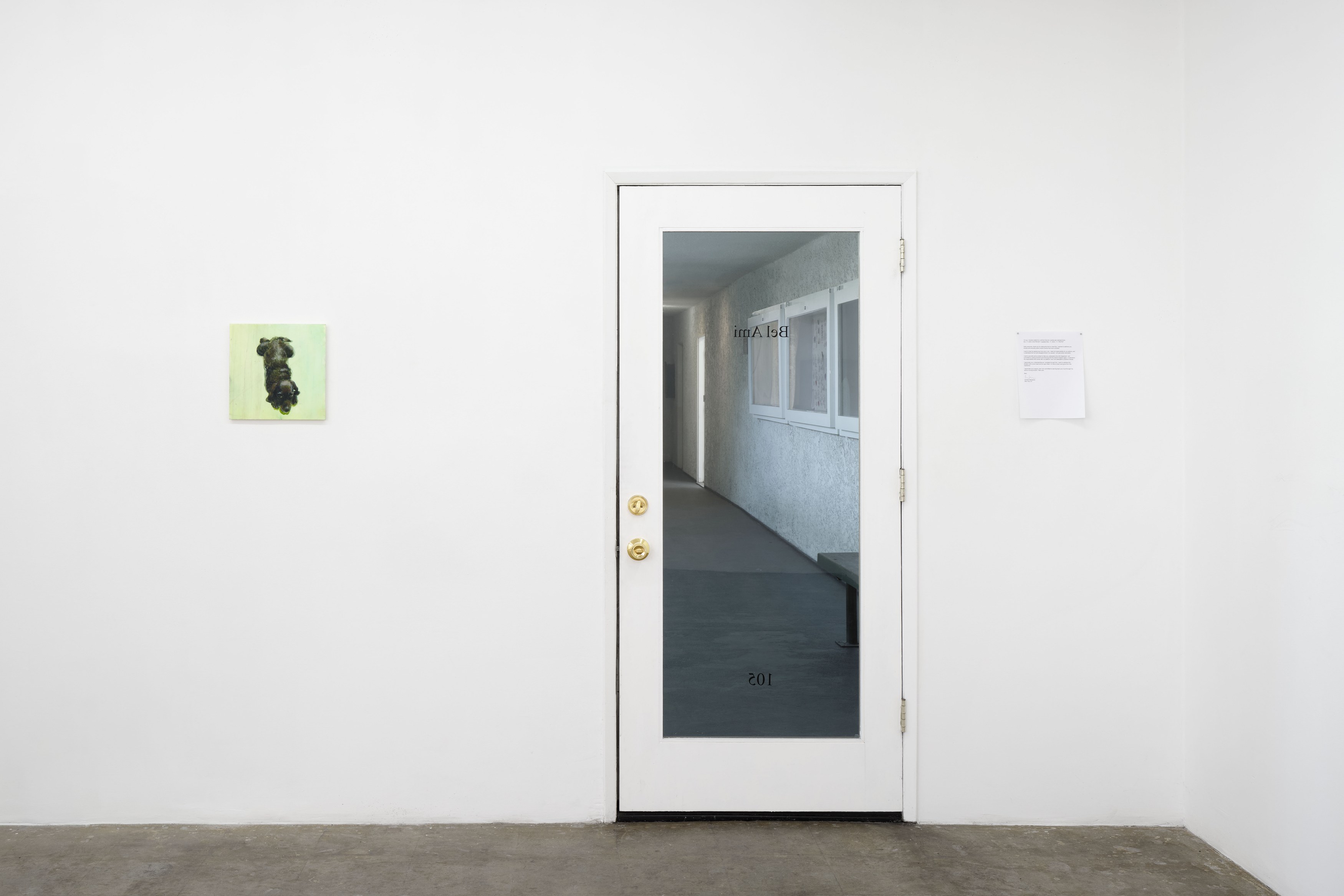 Caroline Weinstock, The Dead Pet at Bel Ami, photo 9