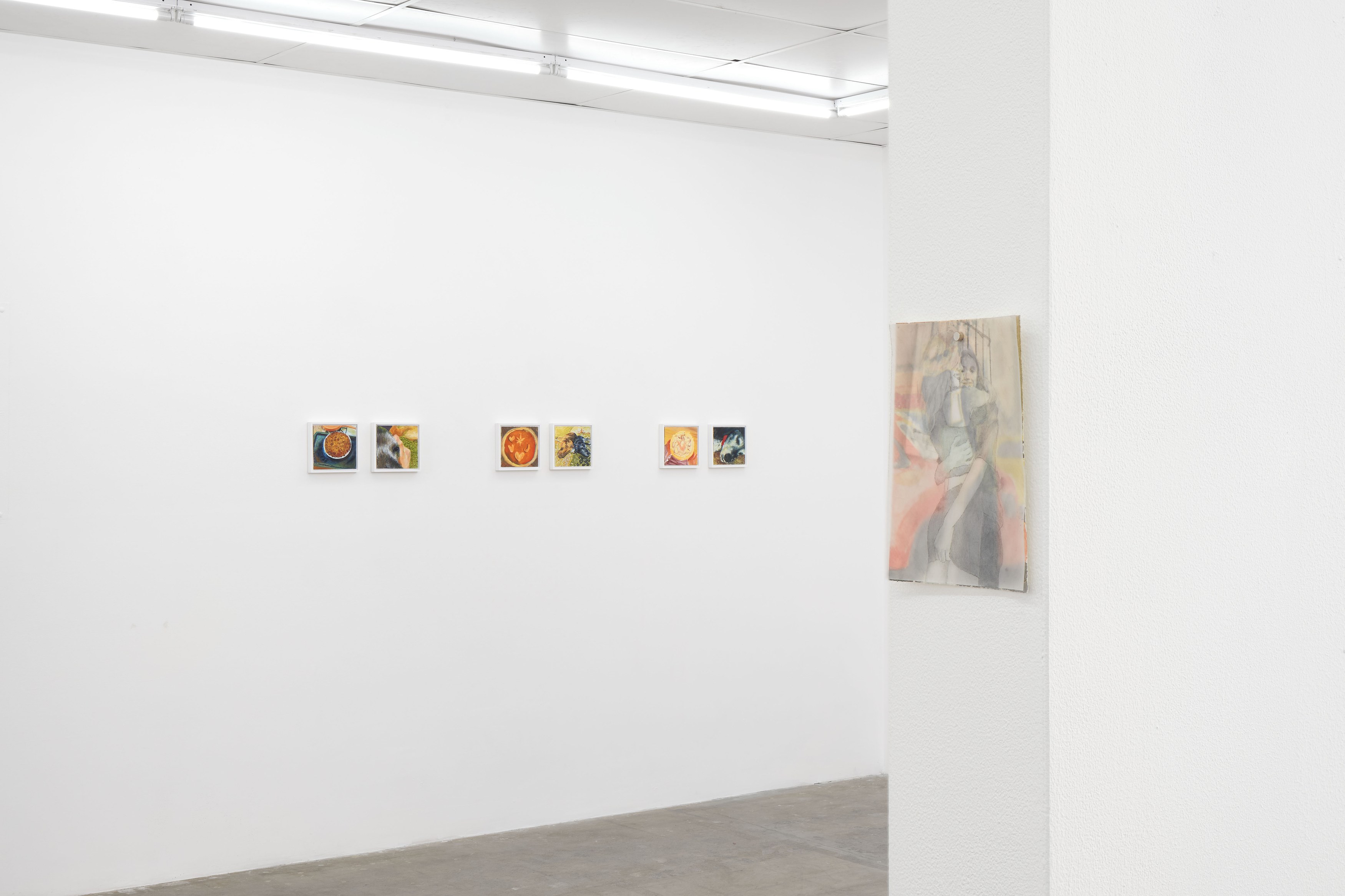 Caroline Weinstock, The Dead Pet at Bel Ami, photo 16