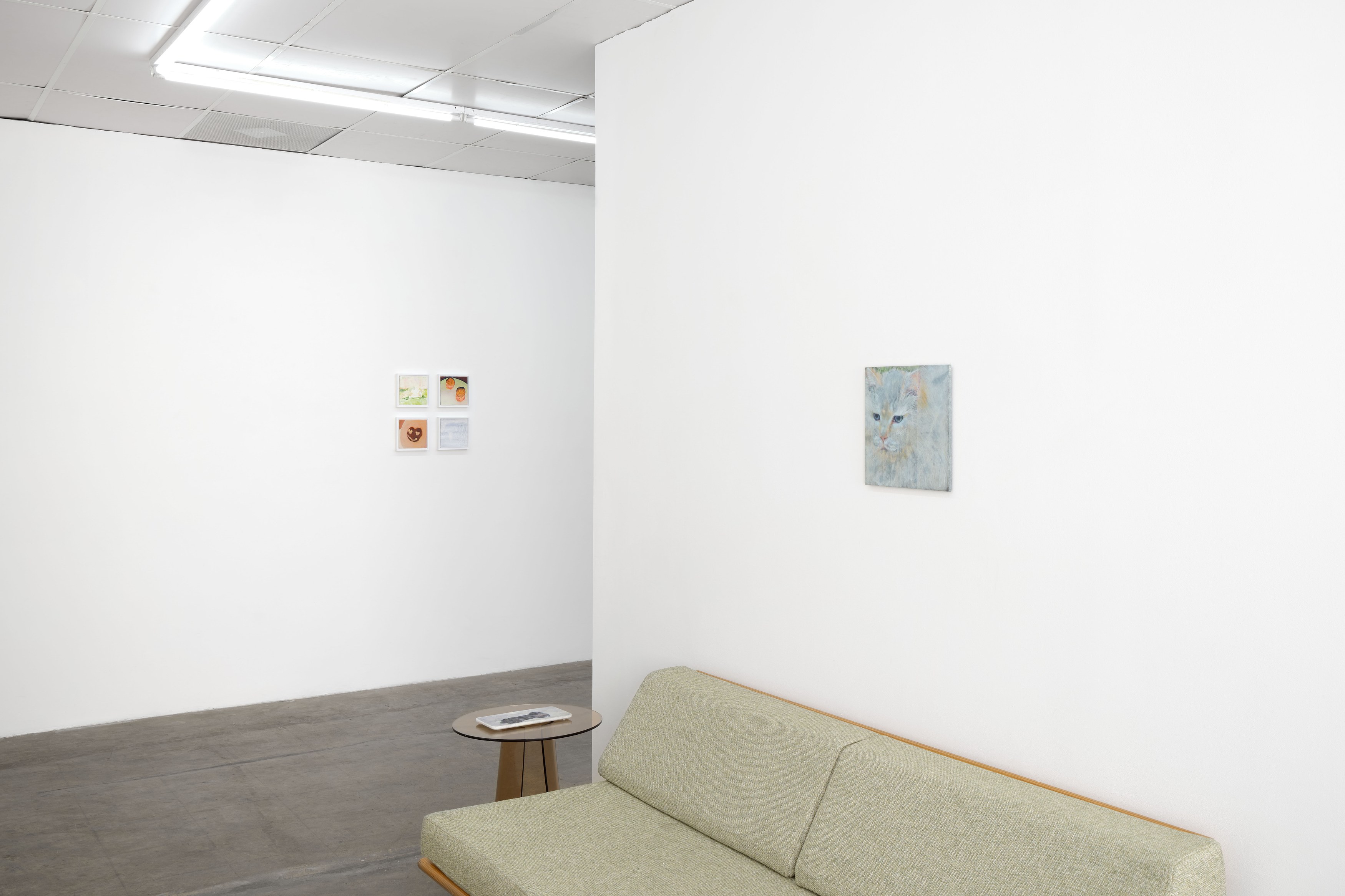 Caroline Weinstock, The Dead Pet at Bel Ami, photo 18