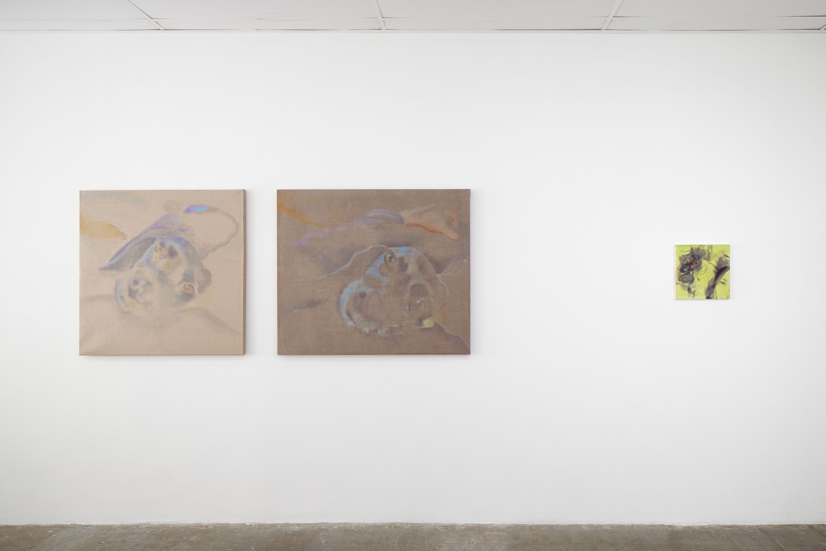 Caroline Weinstock, The Dead Pet at Bel Ami, photo 17