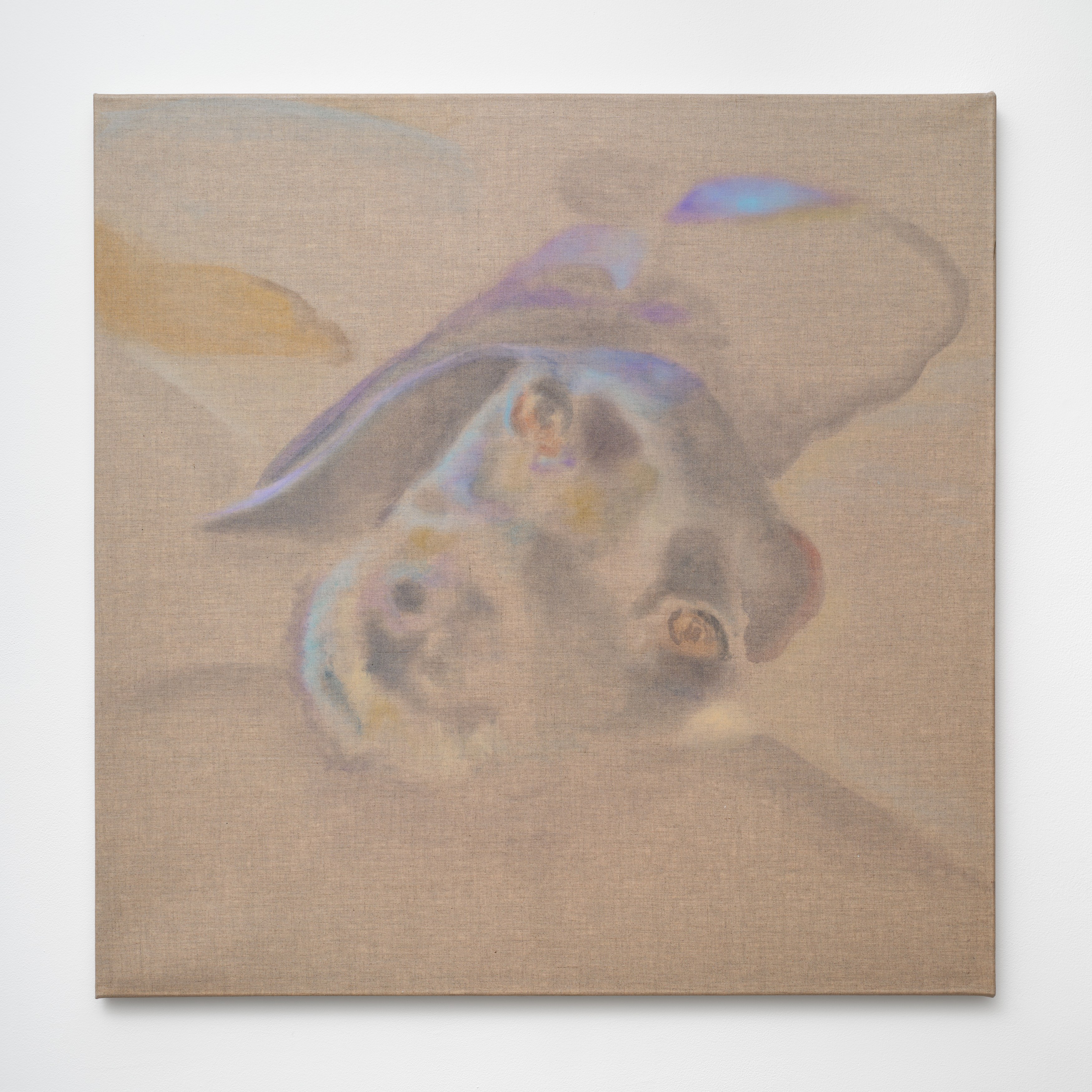Caroline Weinstock, The Dead Pet at Bel Ami, photo 22