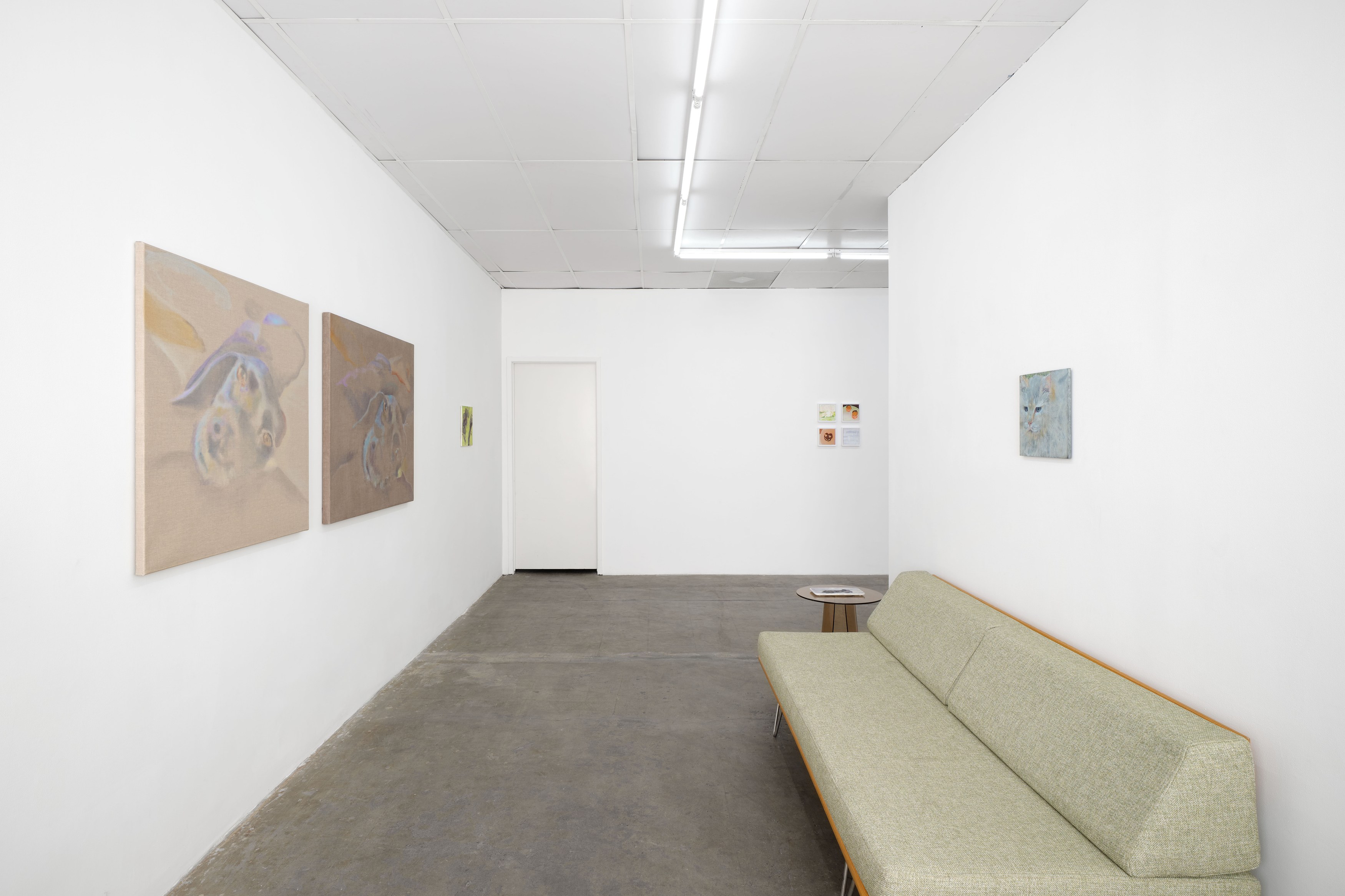 Caroline Weinstock, The Dead Pet at Bel Ami, photo 19