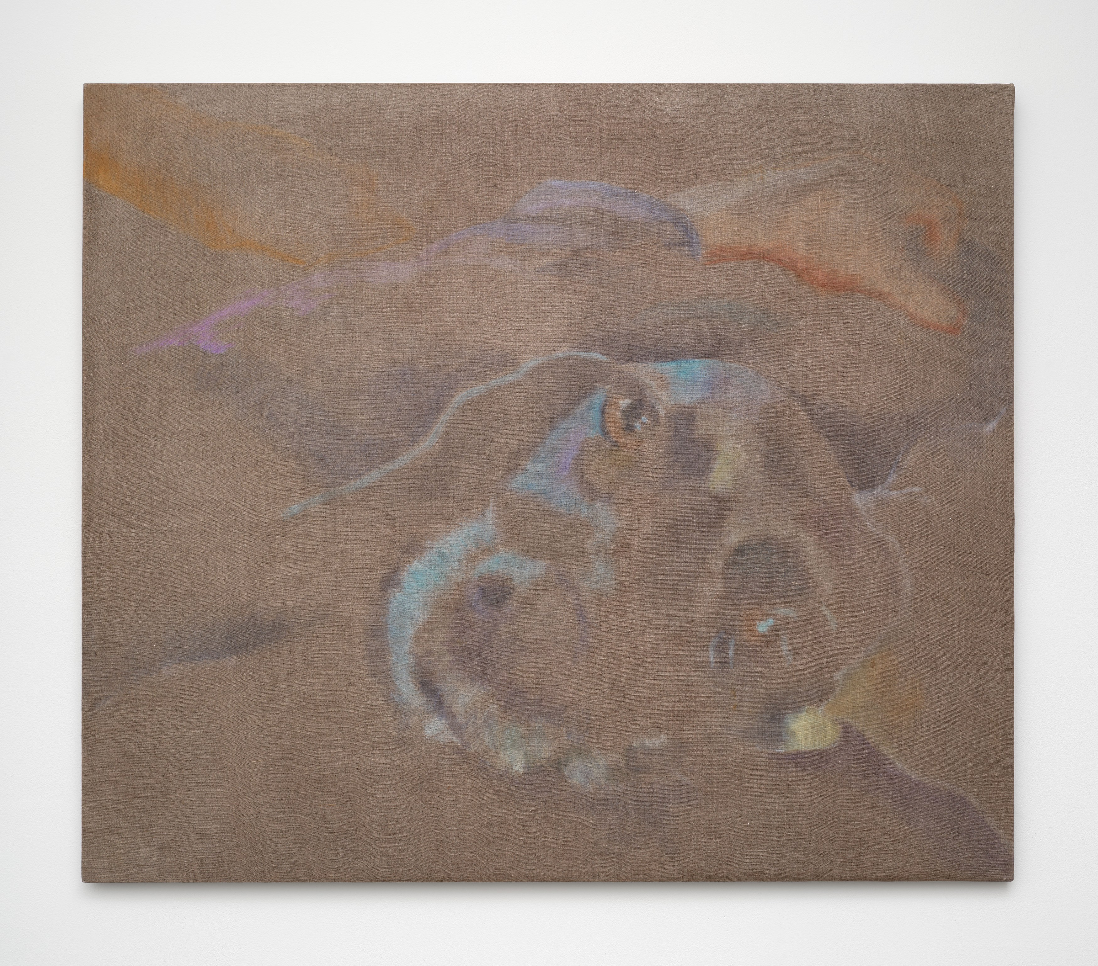 Caroline Weinstock, The Dead Pet at Bel Ami, photo 23