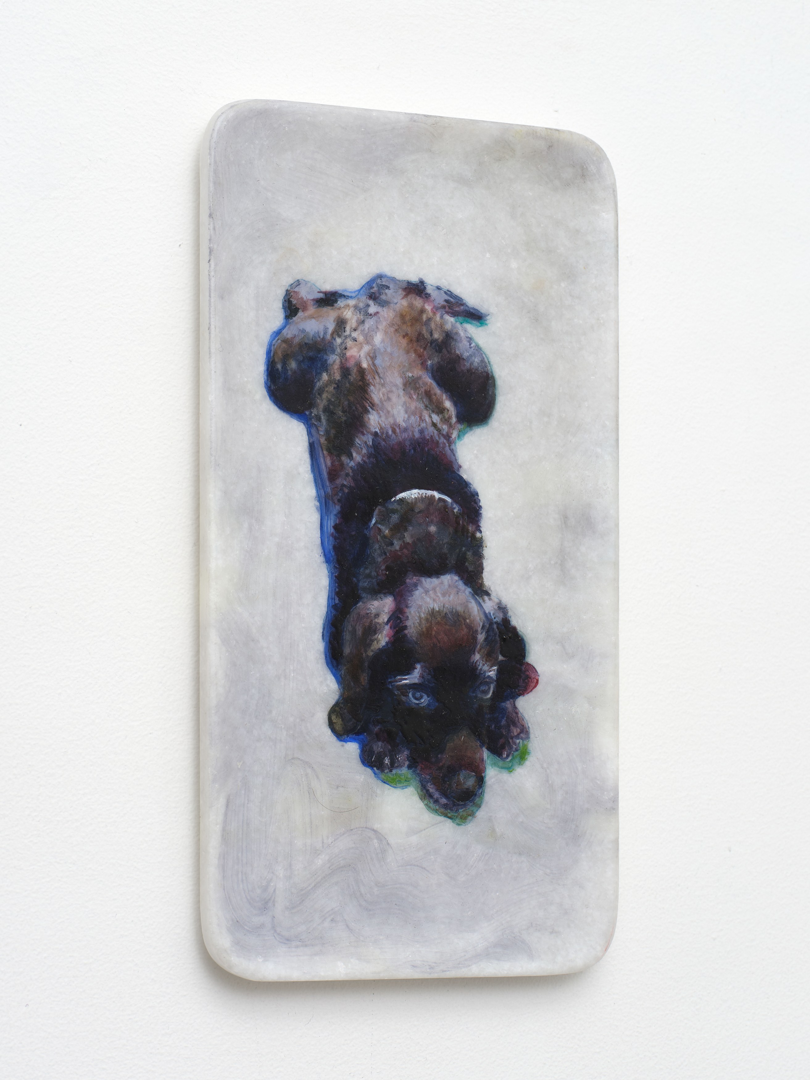 Caroline Weinstock, The Dead Pet at Bel Ami, photo 27