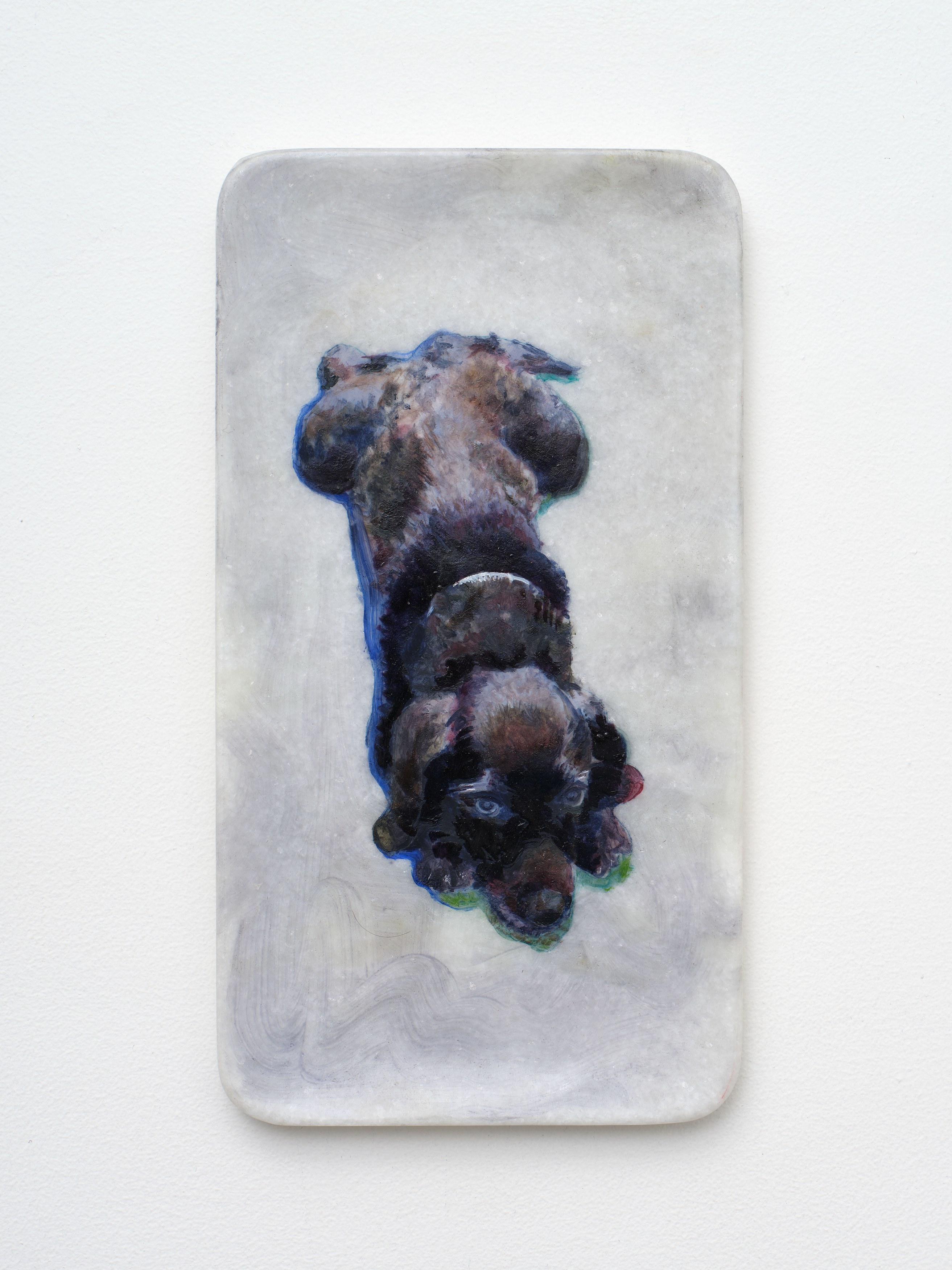 Caroline Weinstock, The Dead Pet at Bel Ami, photo 26