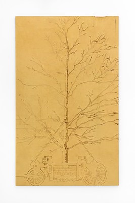 Image 13 of 39