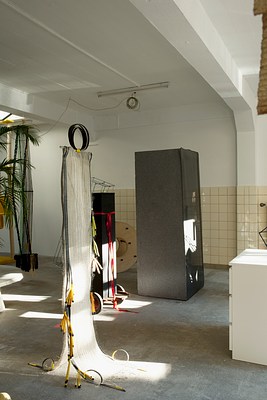 Image 5 of 16