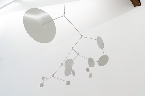 Image 4 of 20