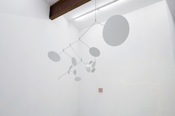 Image 3 of 20