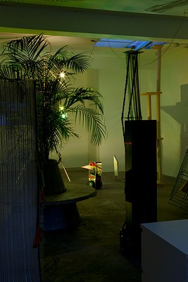 Image 11 of 16
