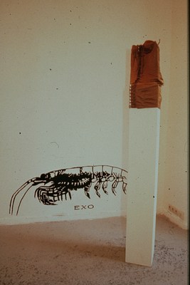 Image 14 of 26