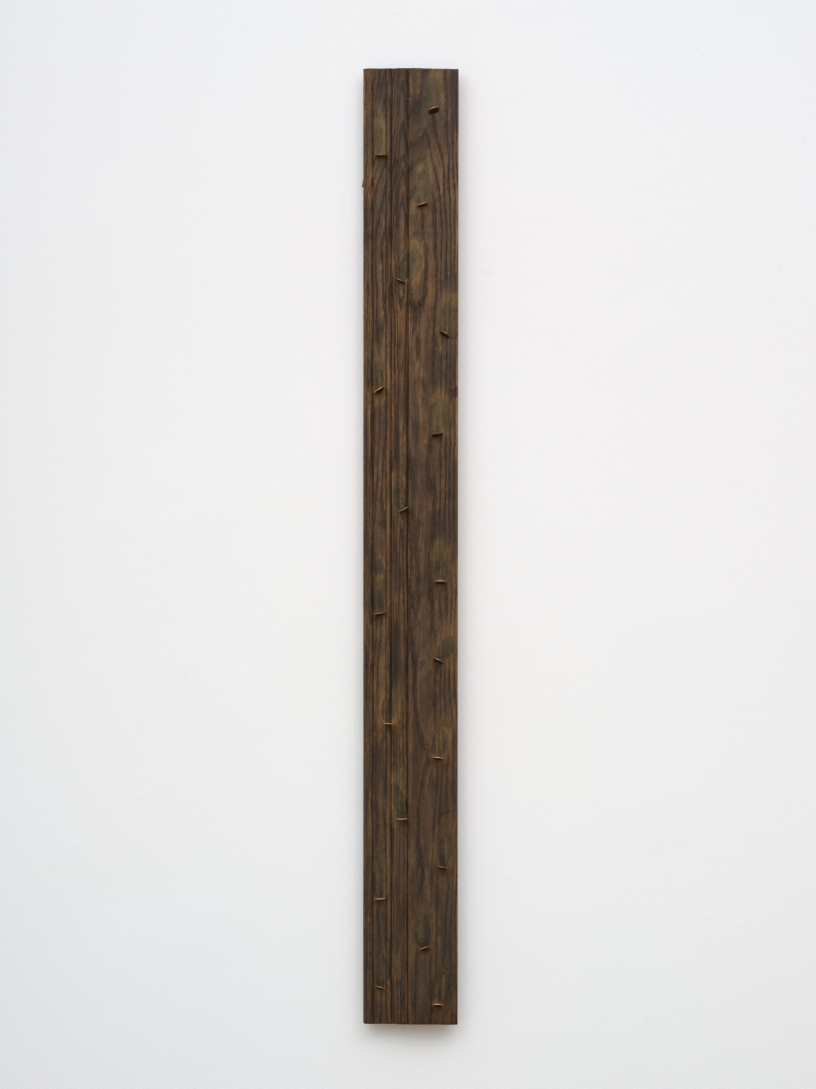 Michael Angelo Bala, Eye Comfort at Overduin and Kite, photo 28