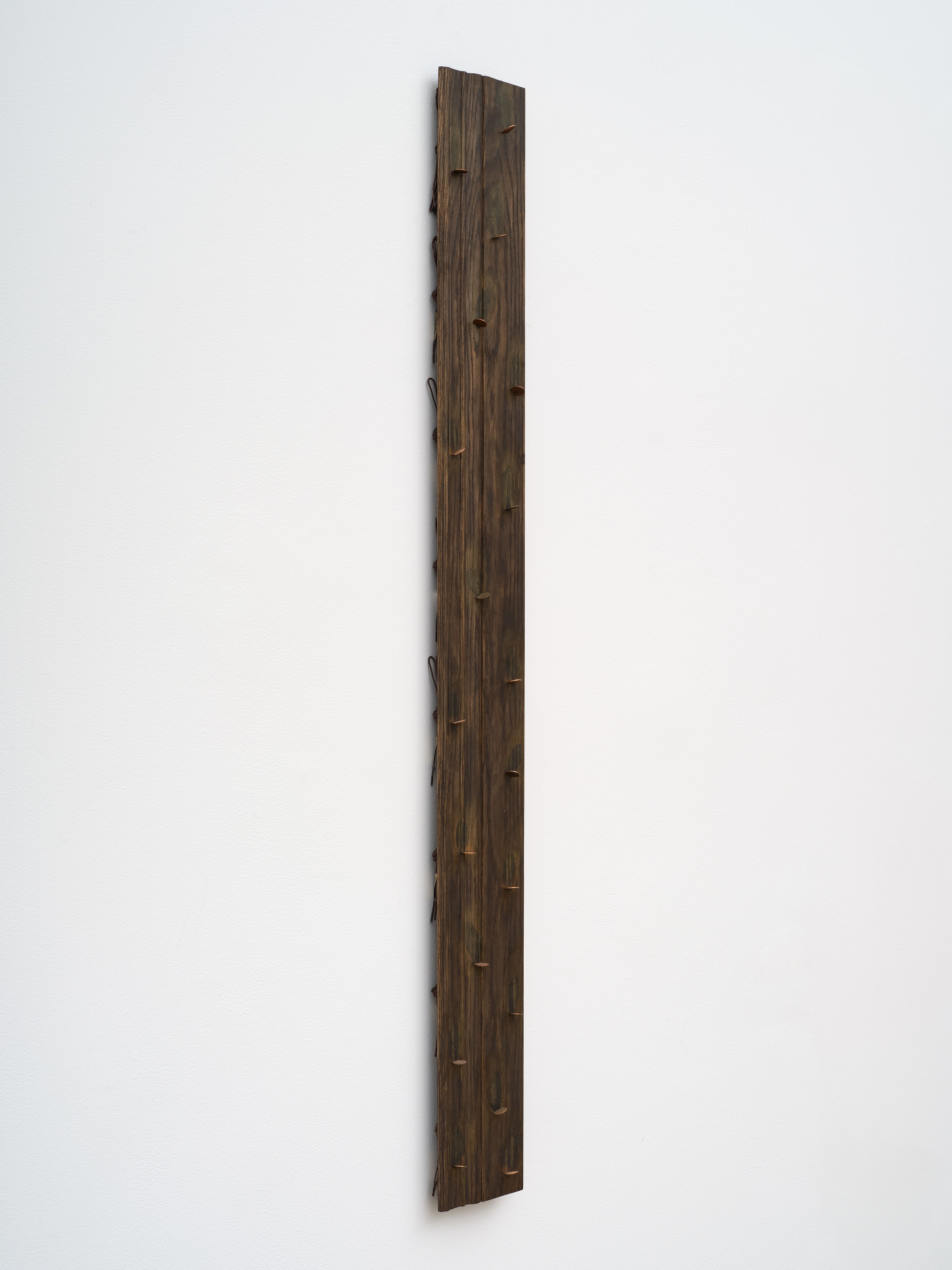 Michael Angelo Bala, Eye Comfort at Overduin and Kite, photo 29