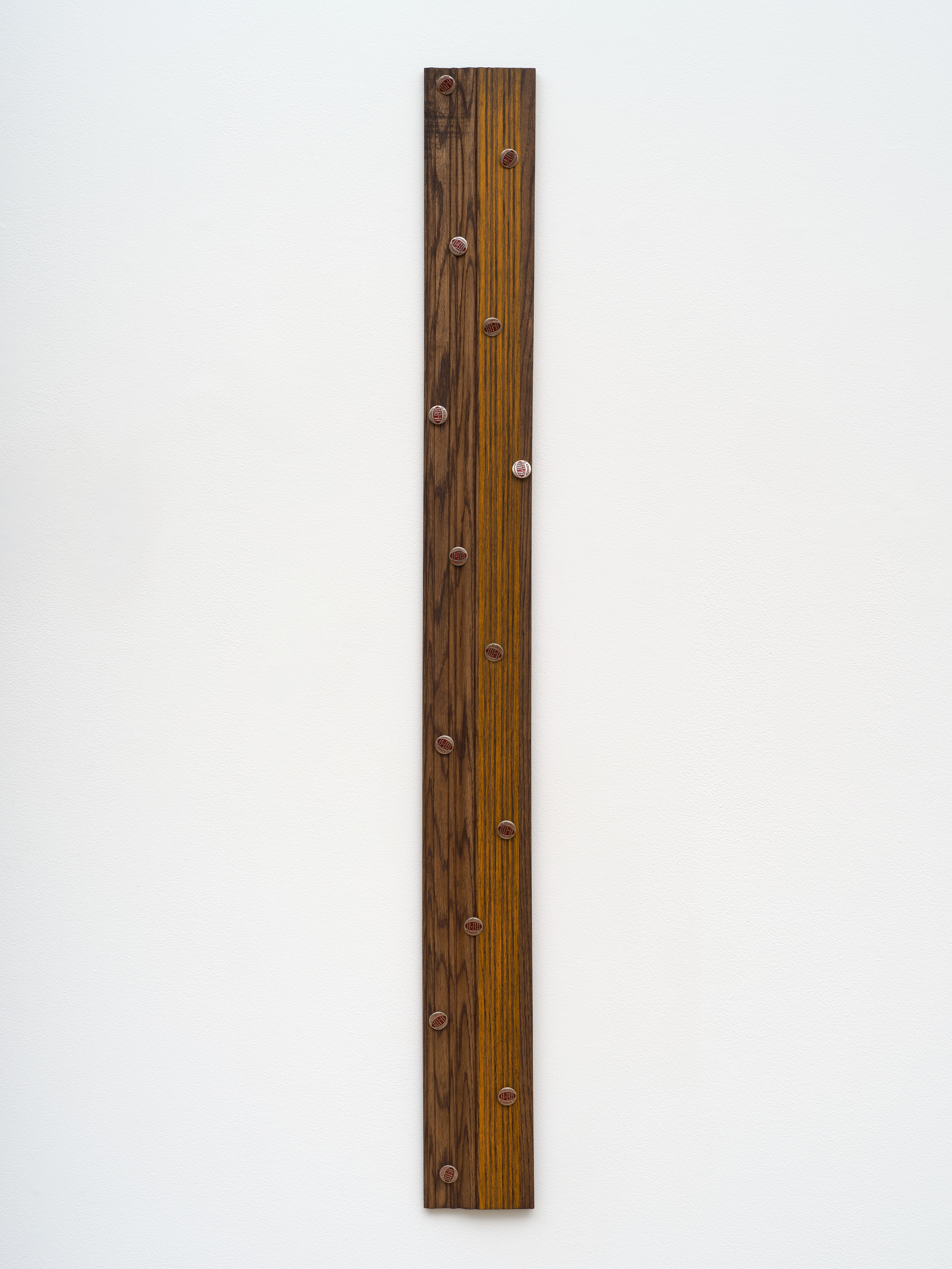 Michael Angelo Bala, Eye Comfort at Overduin and Kite, photo 37