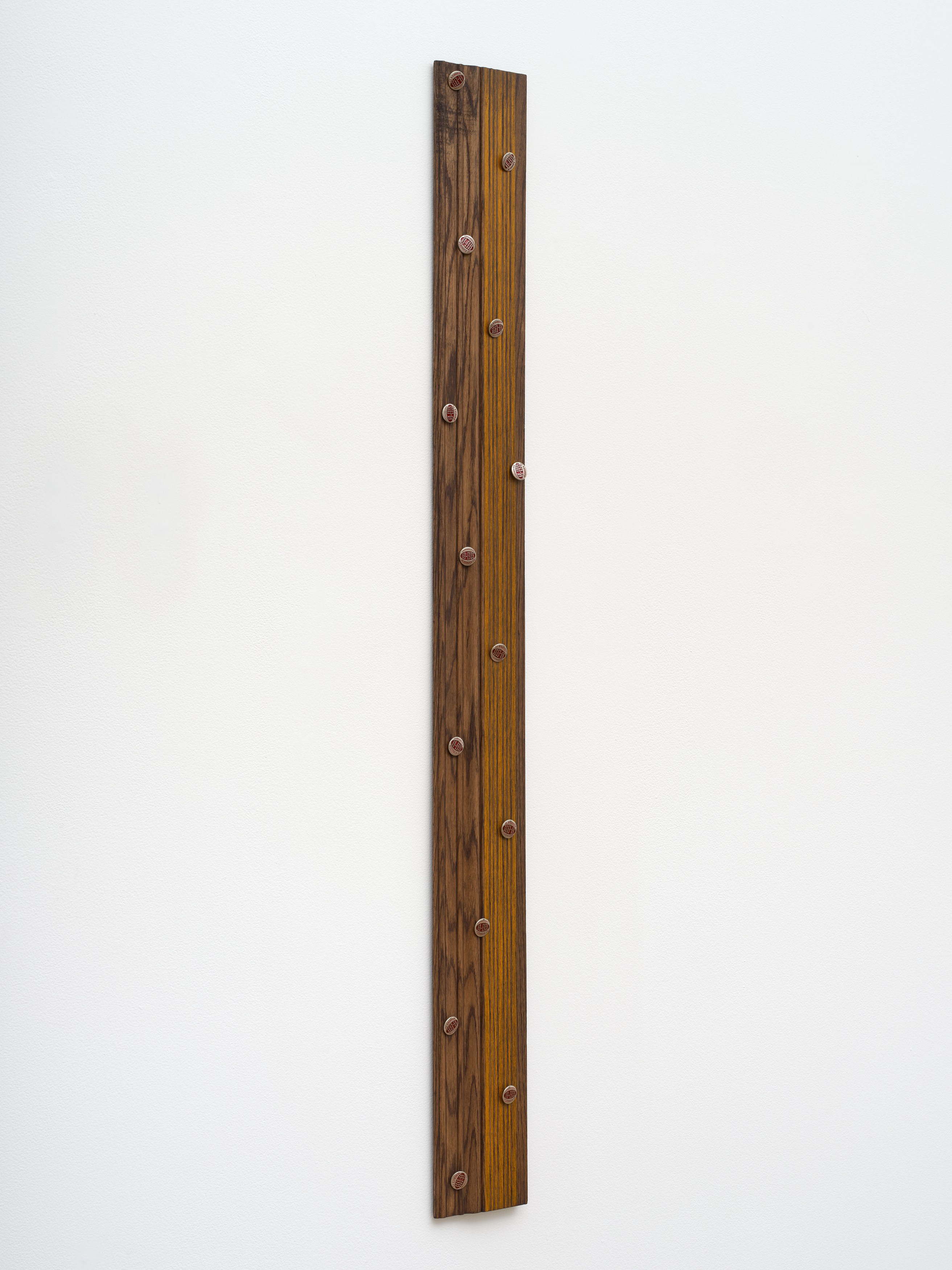 Michael Angelo Bala, Eye Comfort at Overduin and Kite, photo 38