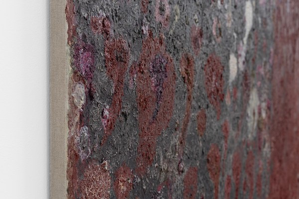 Image 11 of 30