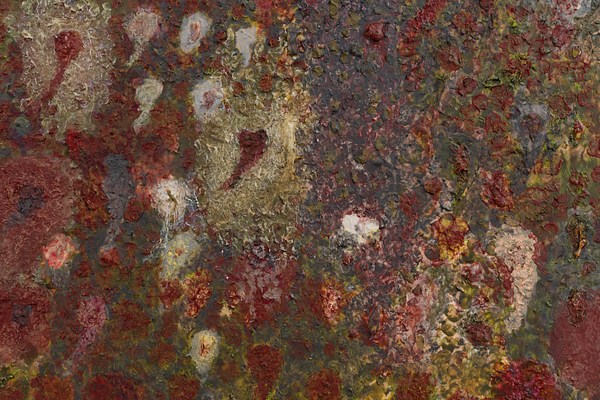 Image 16 of 30
