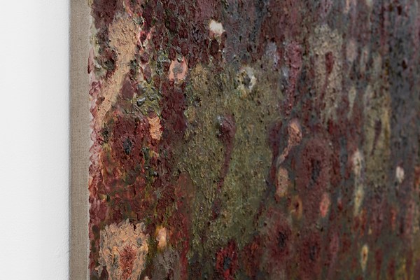 Image 17 of 30
