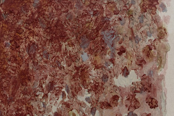 Image 13 of 30