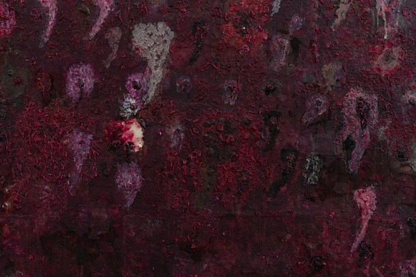 Image 19 of 30