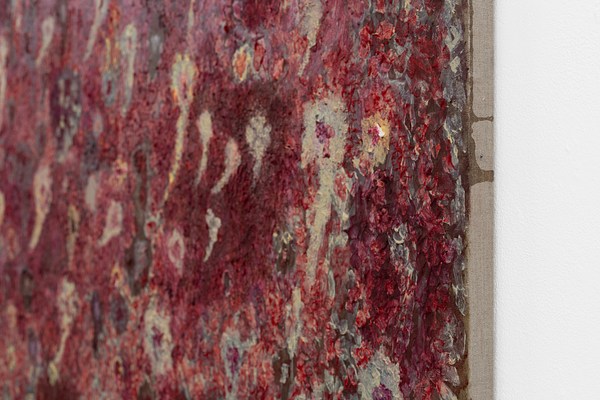 Image 24 of 30