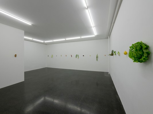 Image 1 of 24