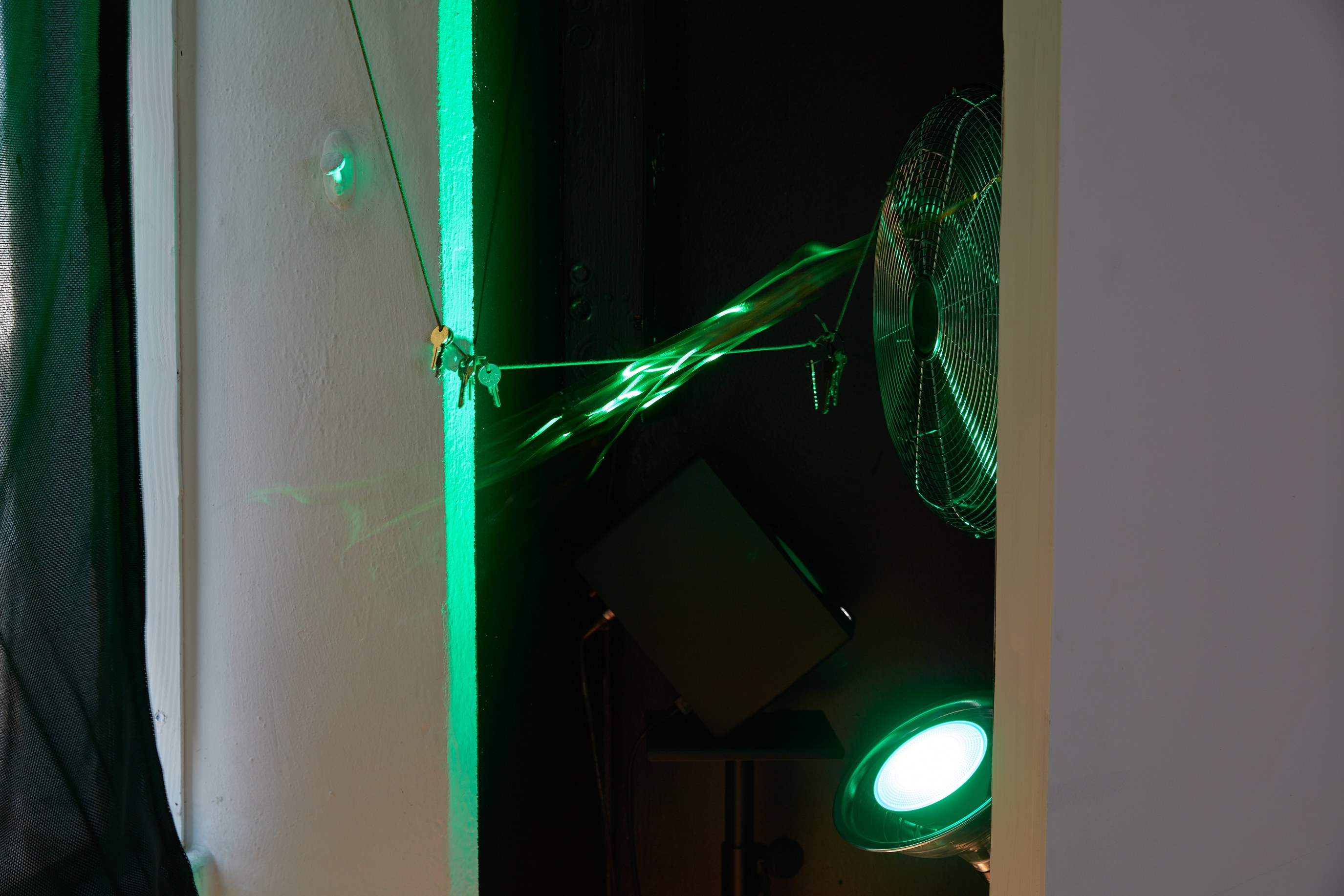 Geo Wyex, Nobody Wade Never Too Much at Joan, photo 35