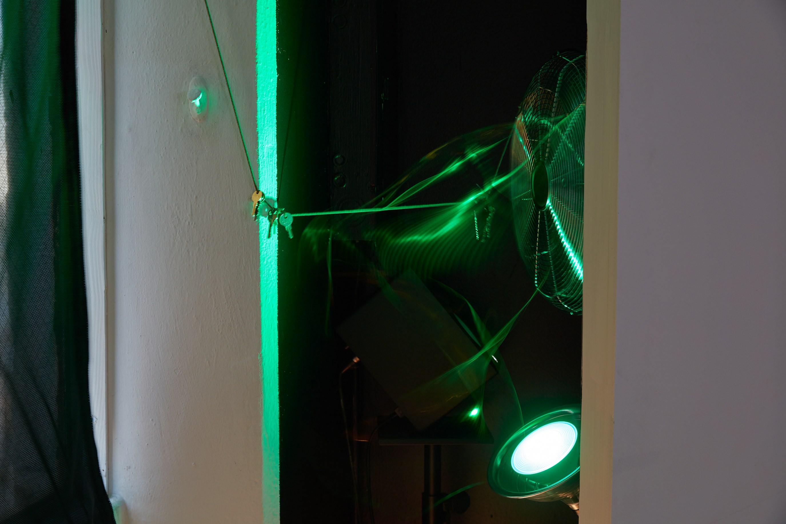 Geo Wyex, Nobody Wade Never Too Much at Joan, photo 37